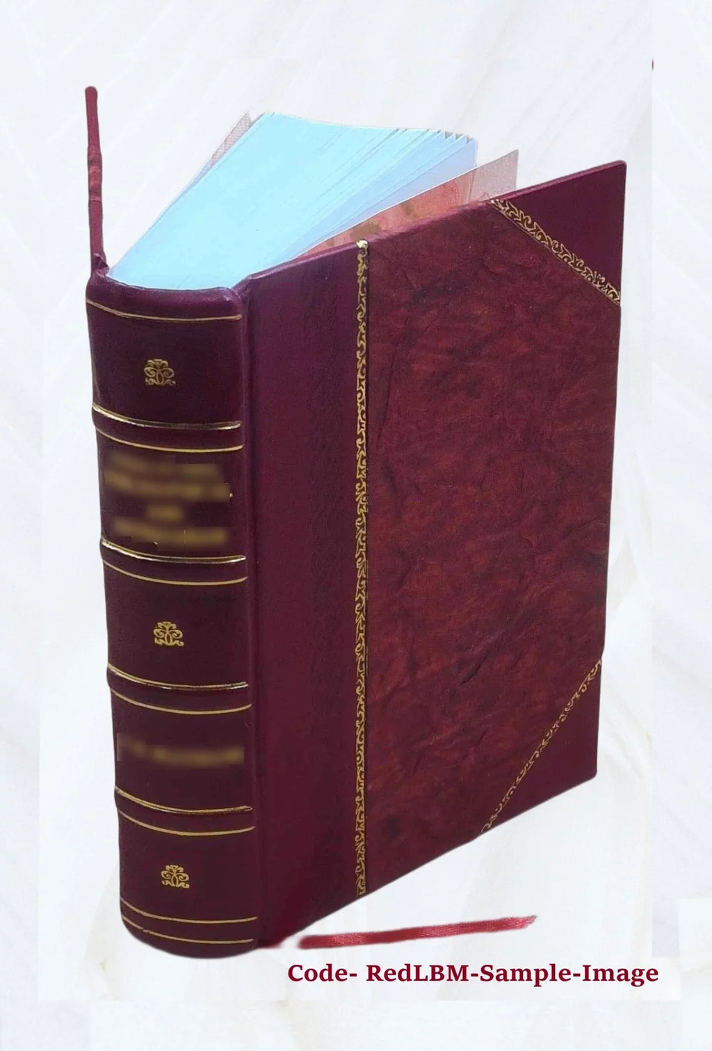 When ghost meets ghost 1914 [Leather Bound]